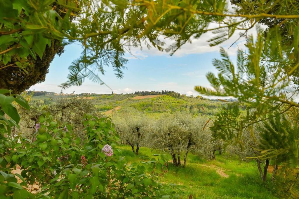 Appartamento Con Vista Panoramica In Chianti San Donnino  Ngoại thất bức ảnh